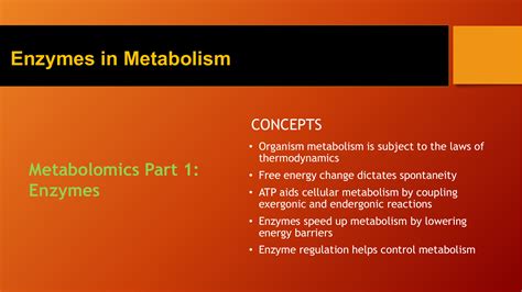 1 Enzymes in Metabolism (1)