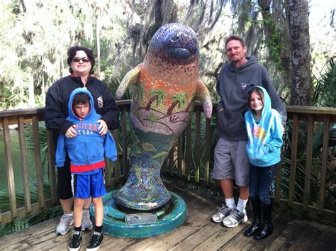 Blue Spring State Park Manatees - Volusia County Moms