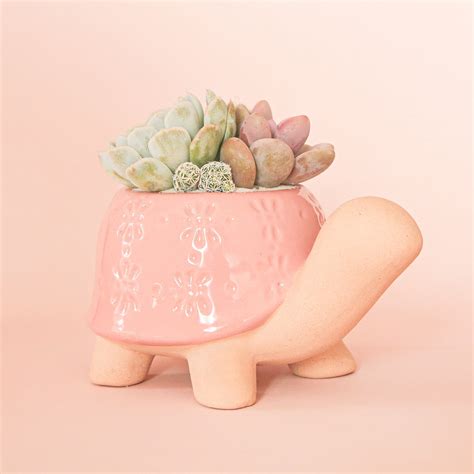 Turtle Planter | Pink – Pigment