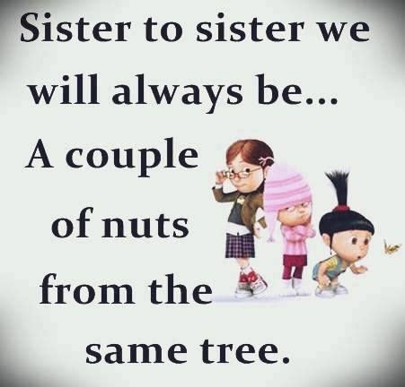 Funny Sister Quotes Images - ShortQuotes.cc