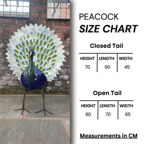 Peacock Metal Sculptures