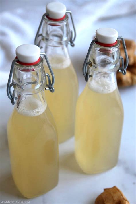 Homemade Ginger Ale Recipe