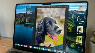 How to remove the background from an image on macOS in seconds | iMore