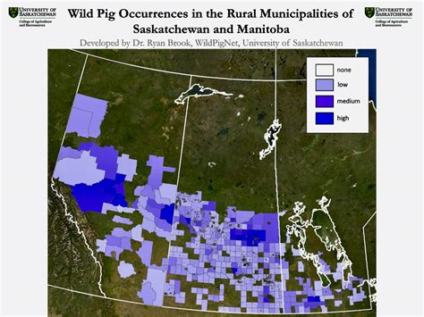 Wild pigs a growing threat - Alberta Farmer Express