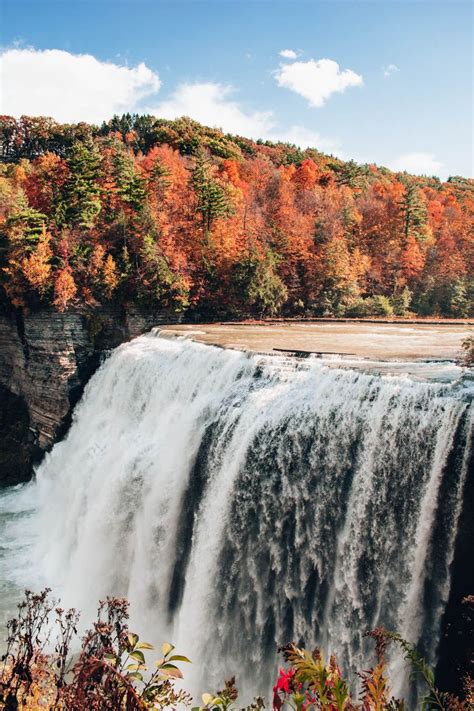 Vibrant Letchworth State Park Fall Foliage in 2022 | Letchworth state park, State parks, Fall ...