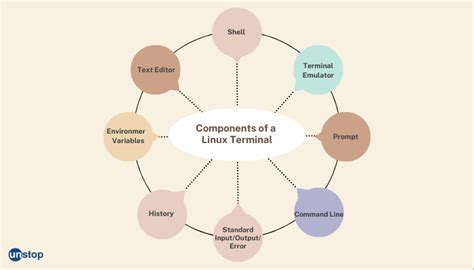 What Is Terminal In Linux? Explained In Detail // Unstop