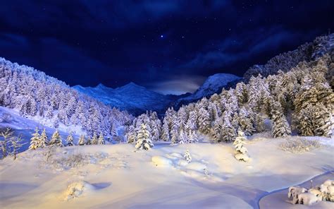 Fond d'écran : hiver, neige, couverture, nuit, lumière, des arbres, conifère, étoiles, bleu ...