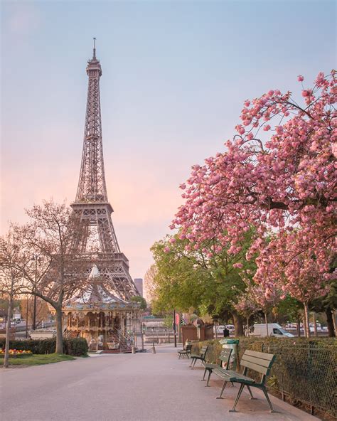 Eiffel Tower France Flowers Beautiful 4k Wallpaper Hd - vrogue.co