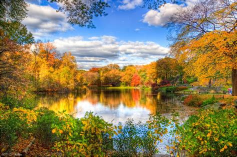 Fall leaves on the lake 2231x1479 | Favorite backgrounds and wallpape…