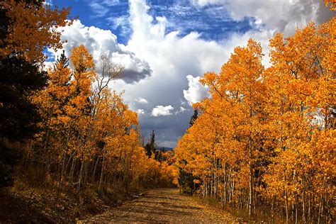 Rocky Mountain Fall Photograph by Mark Smith | Fine Art America