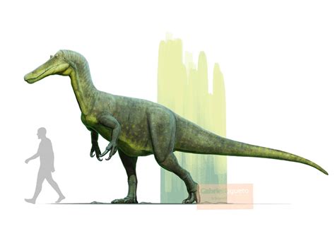 Baryonyx | Fossil Wiki | Fandom