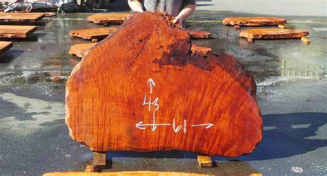 Redwood Burl Slabs - Reclaimed California Redwood | Redwood Burl Inc.