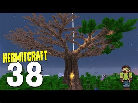 HermitCraft 7: 38 | TREE BASE CANOPY COMPLETE from iskall85 : Hermitflix