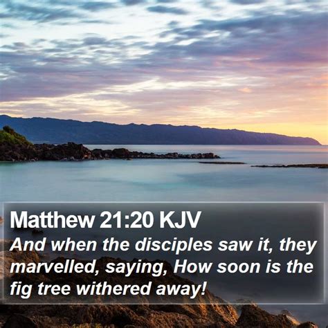 Matthew 21:20 KJV Bible Verse Images