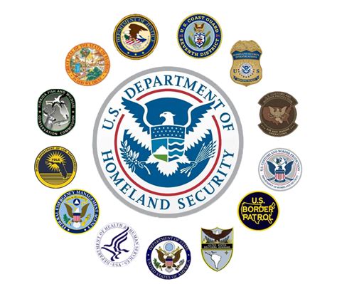 Homeland Security Task Force – Southeast continues to save lives ...