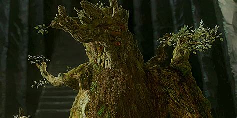 LOTR: What Would Happen If The One Ring Had Fallen Into Treebeard's Hands?