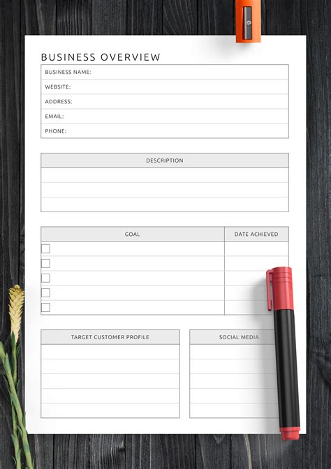 Download Printable Business Overview Template PDF