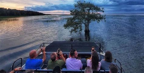 Everglades Airboat Night Tour - TripShock!