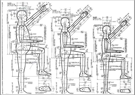 GardeningID: Anthropometrics