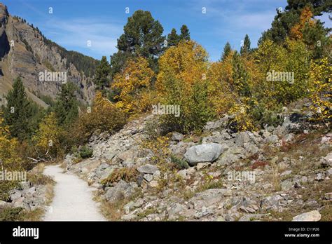 Switzerland grisons hiking hi-res stock photography and images - Alamy