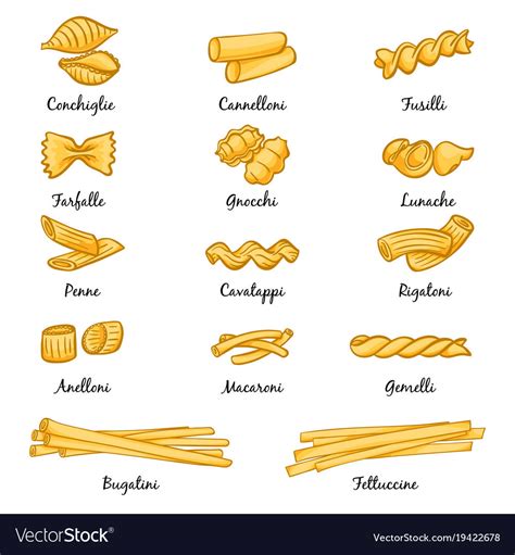 20 Best Pasta Noodles Types – Home, Family, Style and Art Ideas