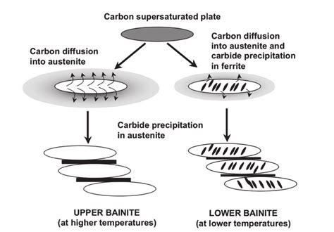 Schematic representation of bainite formation according to Bhadeshia's... | Download Scientific ...