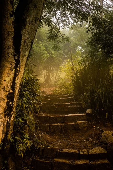 Nandi Hills -Sunrise point - Tripoto