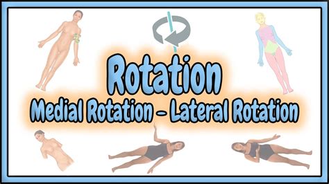 Medial And Lateral Rotation