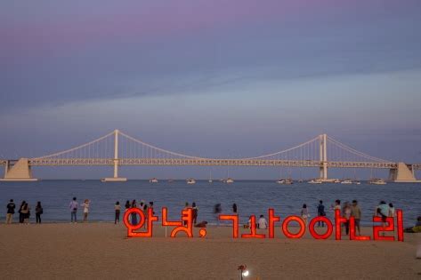 Starry Night in Busan: Must-See Attractions 2022 : VISITKOREA