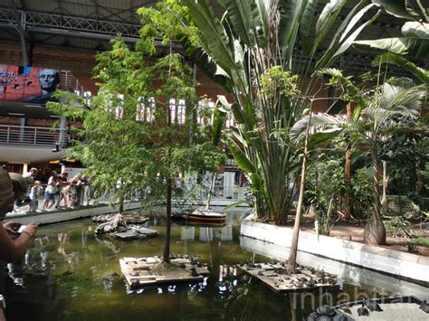 Madrid’s Atocha Station Doubles as an Indoor Botanical Garden and Turtle Sanctuary | Inhabitat ...