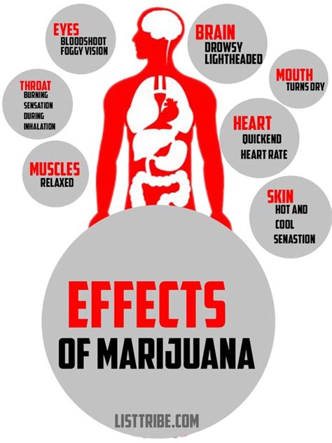 Different Types Of Marijuana (weed) And Effects On Body - Health - Nigeria