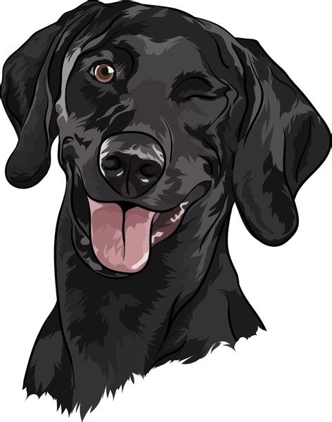 8+ Thousand Cartoon Black Labrador Dog Royalty-Free Images, Stock Photos & Pictures | Shutterstock