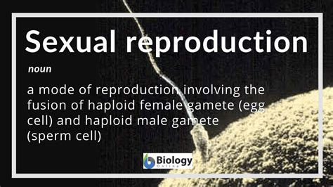 Sexual reproduction - Definition and Examples - Biology Online Dictionary