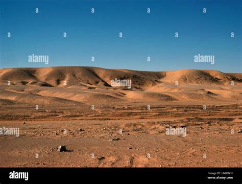 Sahara Desert near Ouargla, Algeria Stock Photo - Alamy