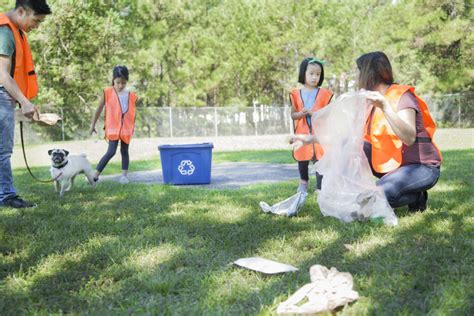 Clean Local Parks | Ways Your Family Can Help Clean Local Parks