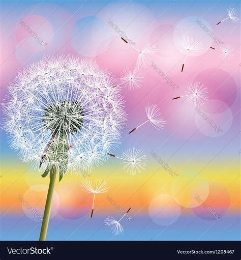 Dandelion on background sunset Royalty Free Vector Image