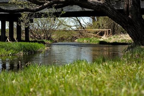 River Spring Flooding · Free Stock Photo