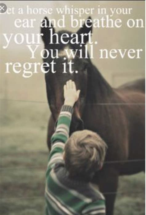 Inspirational Horse Quotes | Equestrian Amino