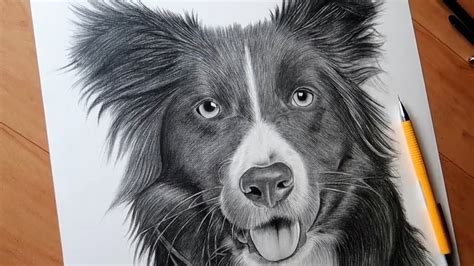 Realistic Dog Drawing