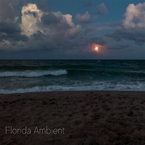 ‎Night Beach (Waves and Ambient Sounds) - Album by Florida Ambient ...