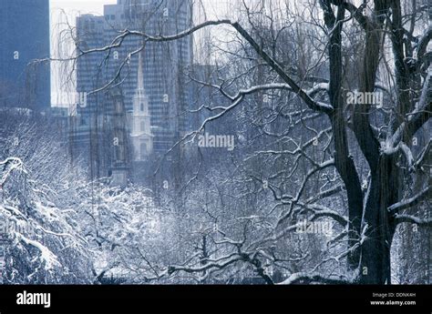 Winter view through Public Garden and Boston Common to Park St., Boston ...