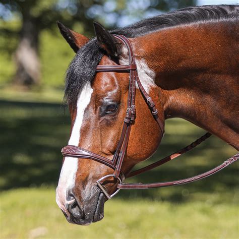 Joseph Sterling® Shaped Padded English Bridle | Schneiders Saddlery