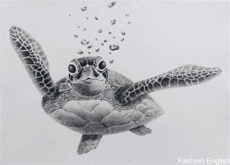 Drawn Sea Turtle pencil 20 - 1024 X 736 | Dumielauxepices.net - #Drawn ...