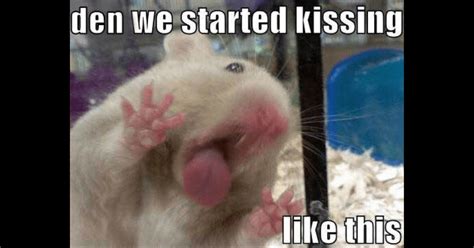 Ridiculous Kissing Memes That Scream 'Pucker Up, Buttercup' - CheezCake ...