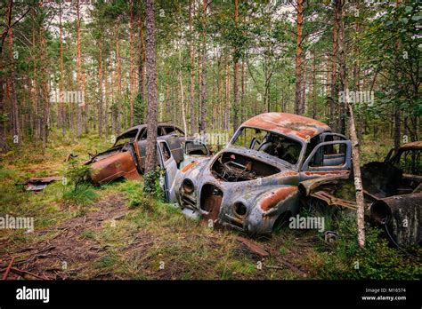 Rusty old abandoned cars in forest Stock Photo - Alamy