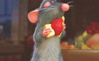 Ratatouille GIFs - Find & Share on GIPHY