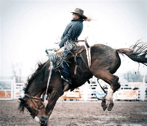 Cowboy on Bucking Bronco - campestre.al.gov.br