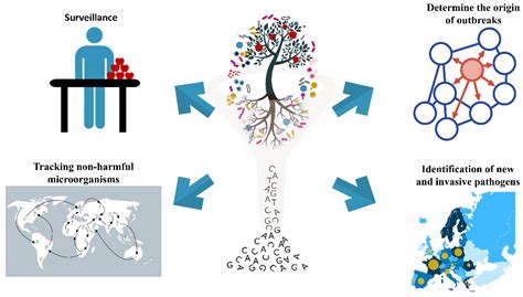 Microorganisms | Free Full-Text | Metagenomics Approaches for the ...