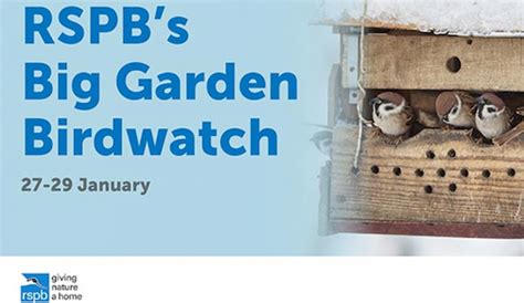 Are you taking part in the Big Garden Birdwatch 2023? - Eastbourne ...