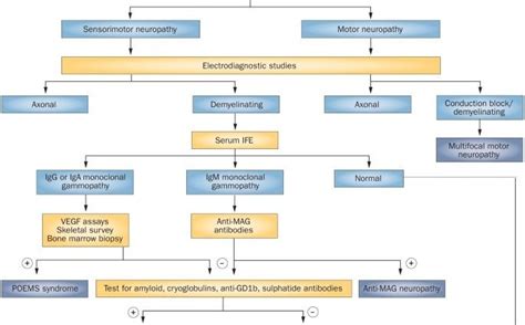 Polyneuropathy – causes, symptoms, treatment. Hereditary and acquired polyneuropathies – Healthy ...